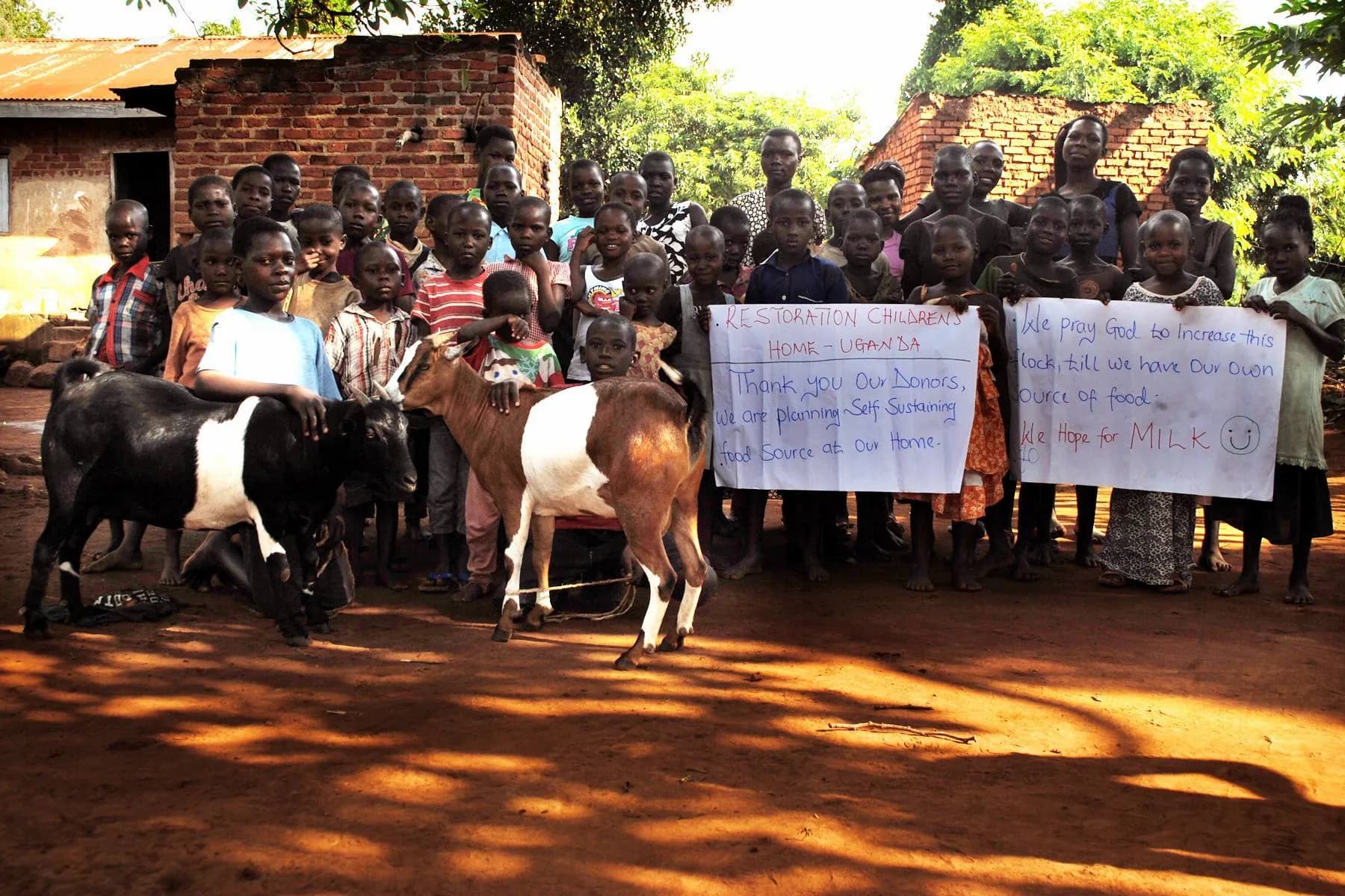 Goats & Garden for Food Security